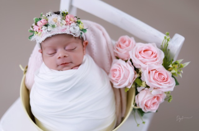Portafolio Dajil Babies