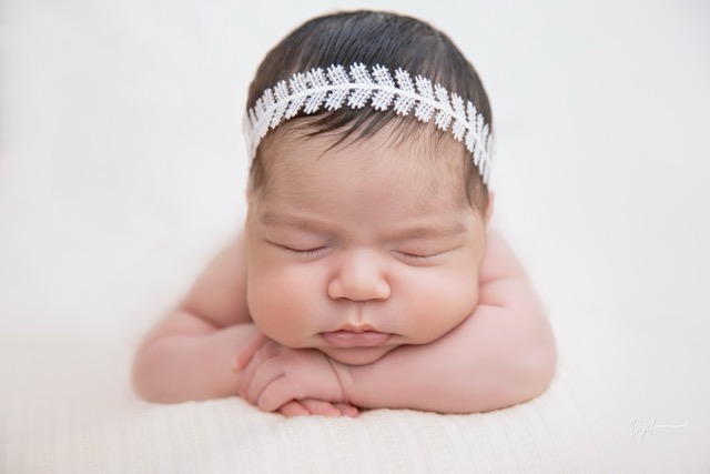 Portafolio Dajil Babies