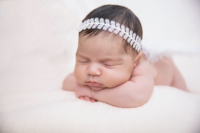 Portafolio Dajil Babies
